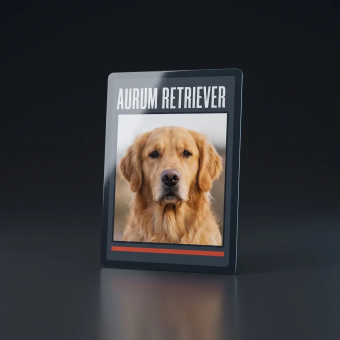 A custom trading card featuring a golden retriever, framed in a dark charcoal border with a red accent bar, on a dark studio background.